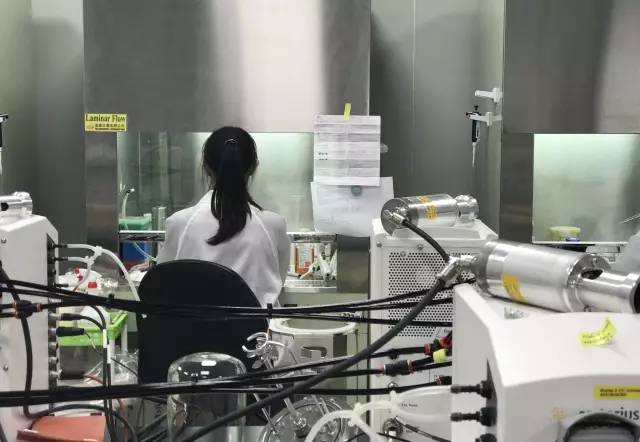 2024澳门原料网站