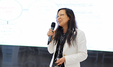 2024澳门原料网站