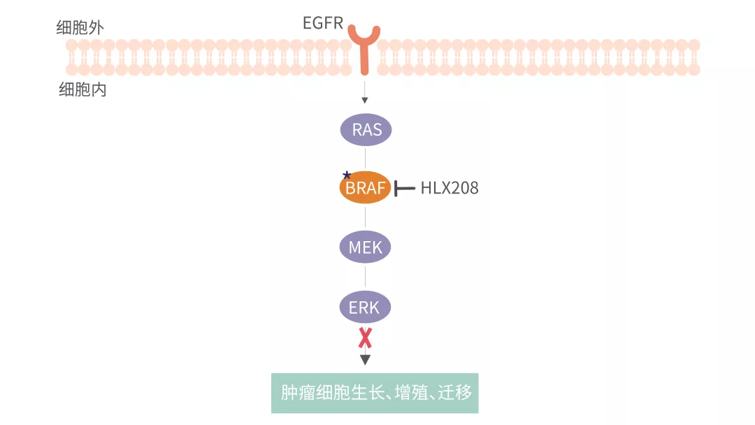 2024澳门原料网站
