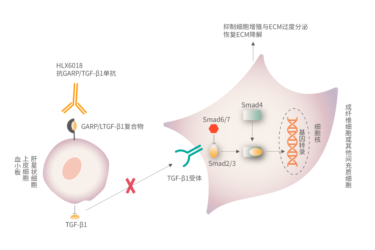 2024澳门原料网站