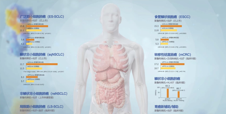 2024澳门原料网站