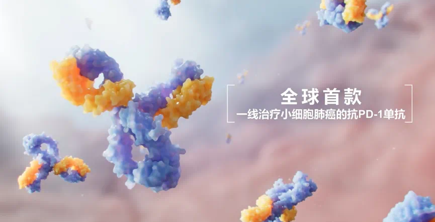 2024澳门原料网站