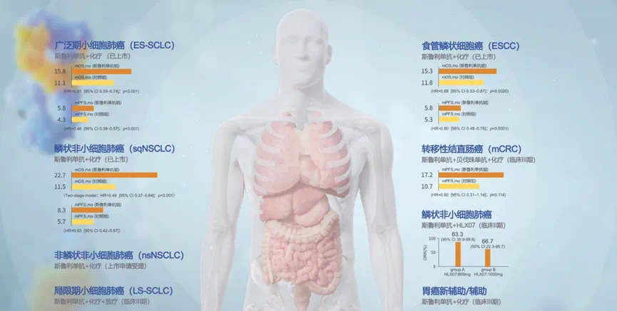 2024澳门原料网站