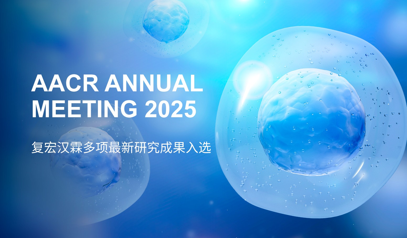 2024澳门原料网站