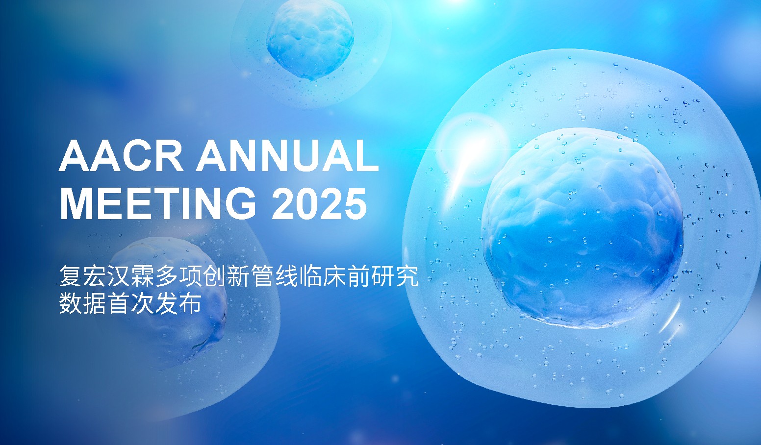 2024澳门原料网站