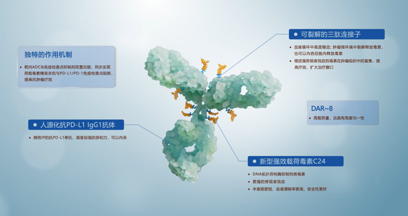 2024澳门原料网站